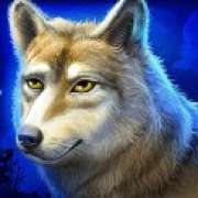 Wolf symbol in Mystic Chief slot