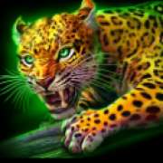 Leopard symbol in Mayan Blaze slot