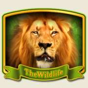 Wild symbol in The Wildlife slot