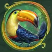 Bird symbol in Rainforest Magic slot