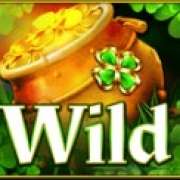 Wild symbol in Irish Cheers slot