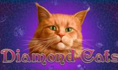 Play Diamond Cats