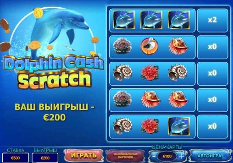 Dolphin Cash Scratch