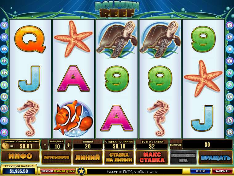 Play Dolphin Reef slot