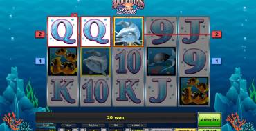 Dolphin’s Pearl: Winnings