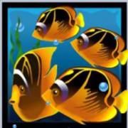 Dolphin’s Pearl: Fish