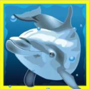 Dolphin’s Pearl: Dolphin