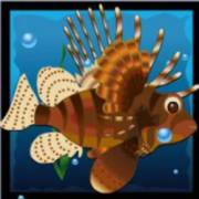 Dolphin’s Pearl: Hedgehog fish