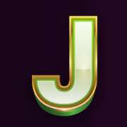 J symbol in Lucky Riches Hyperspins slot