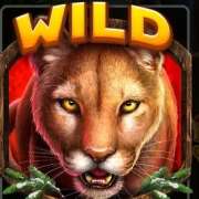 Wild symbol in Cougar Cash slot