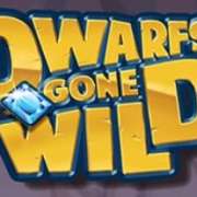Wild symbol in Dwarfs Gone Wild slot