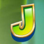 J symbol in Party Parrot slot