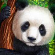 Panda symbol in Bamboo Rush slot