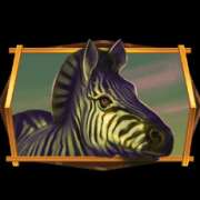 Zebra symbol in African Quest slot