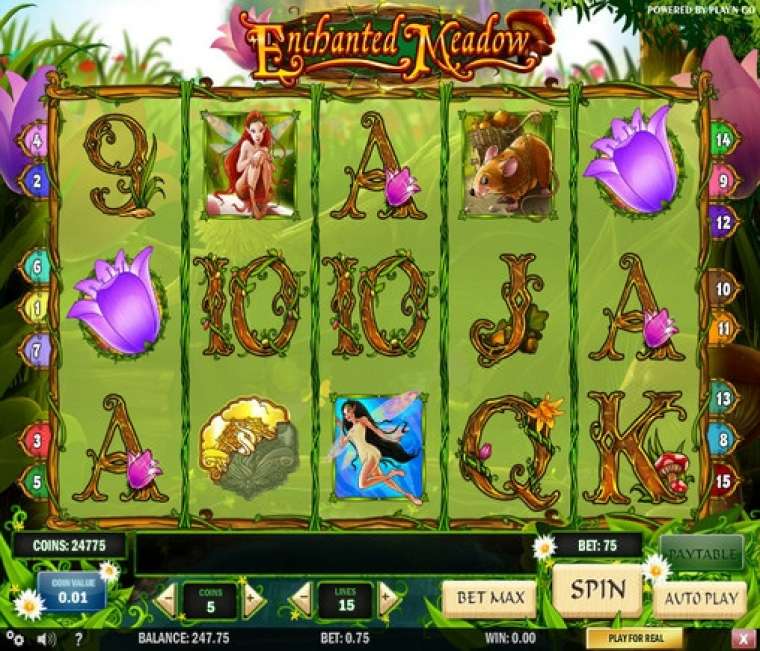 Play Enchanted Meadow slot