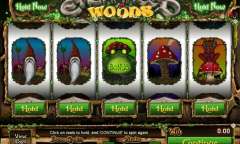 Play Enchanted Woods