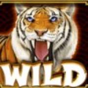 WIld symbol in Retro Tiger slot