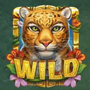 Jaguar symbol in Rainforest Magic slot