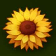 Sunflower symbol in Honey Rush slot