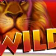 Wild symbol in Safari Dream slot
