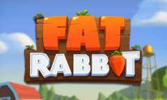 Play Fat Rabbit