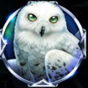 Owl symbol in Majestic Winter slot