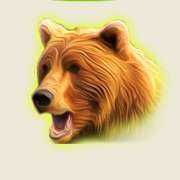 Bear symbol in The Wildlife slot