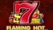 Flaming Hot Extreme slot