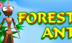 Play Forest Ant