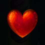 Forest Mania: Heart