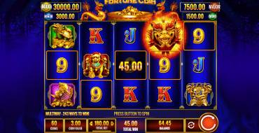 Fortune Coin: Winnings