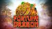 Fortune Dragon slot