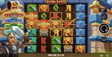 Fortune Fortress: Wild symbol