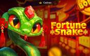 Fortune Snake slot