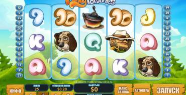 Foxy Fortunes: Special elements