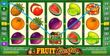 Fruit Fiesta 5 Reel - Progressive: Winnings