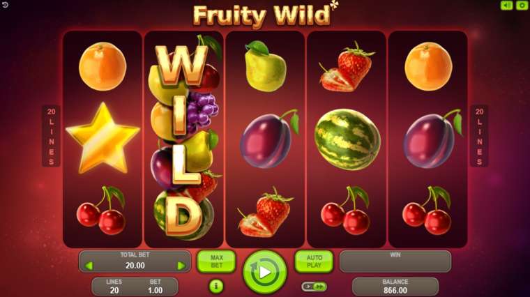 Play Fruity Wild slot