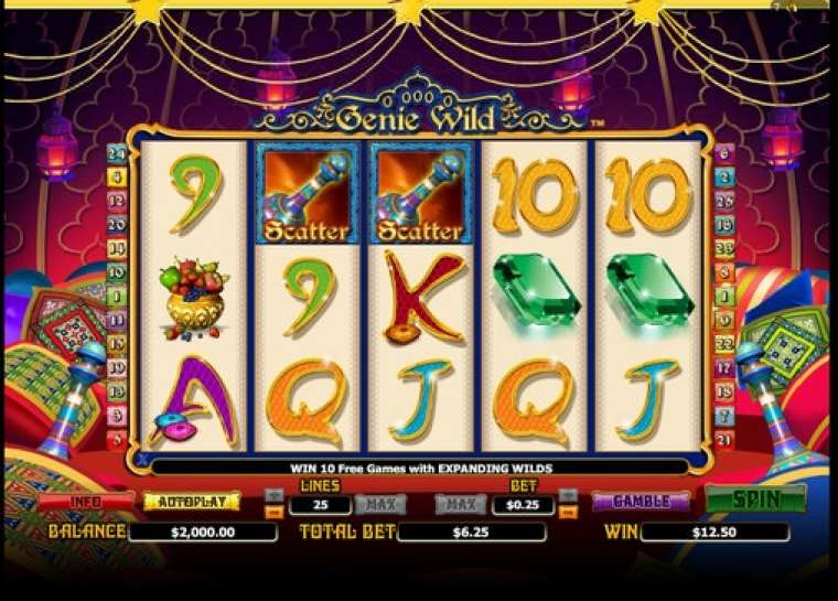 Genie Wild Slot Genie Wild Slot