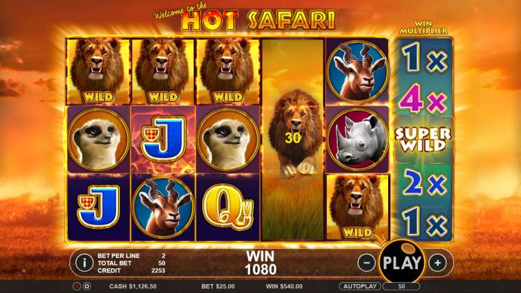 Play Hot Safari slot