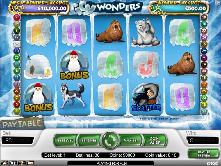 Play Icy Wonders slot
