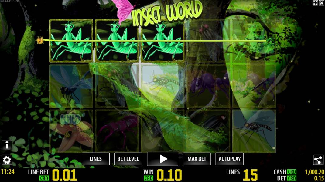 Insect World
