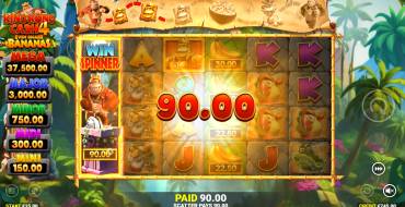 King Kong Cash 4 Even Bigger Bananas: Winnings