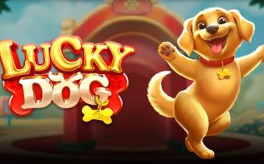 Lucky Dog