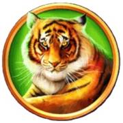 Magical Lamp: Tiger