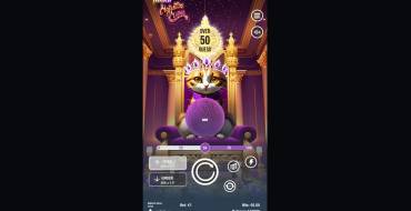 Majestic Meow: Slot machine