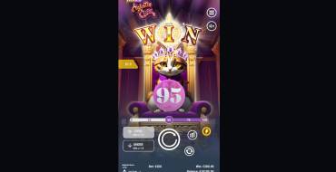 Majestic Meow: Winnings
