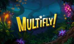 Play Multifly!