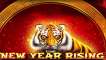New Year Rising slot