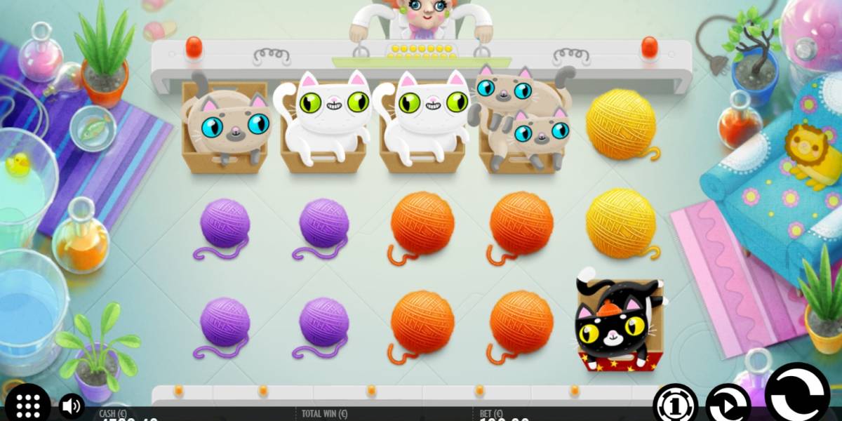 Not Enough Kittens