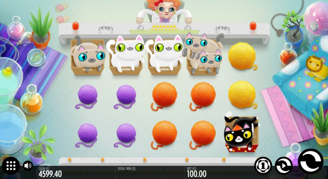 Not Enough Kittens